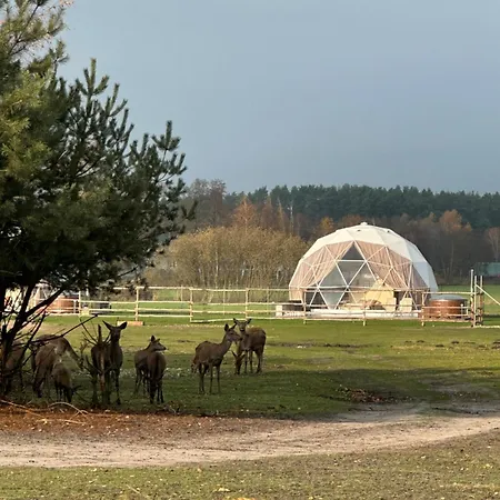 Ranczo Targówka - Relaks W Naturze, Glamping I Targowka