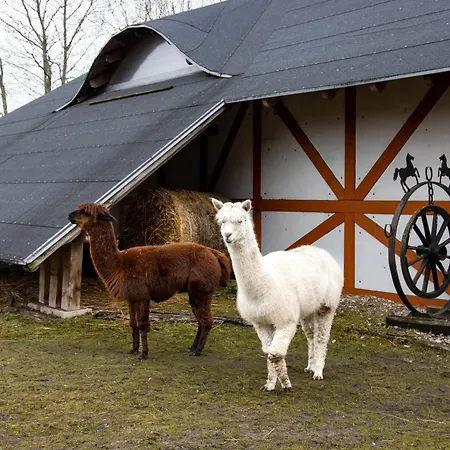 Ranczo Targówka - Relaks W Naturze, Glamping I Targowka