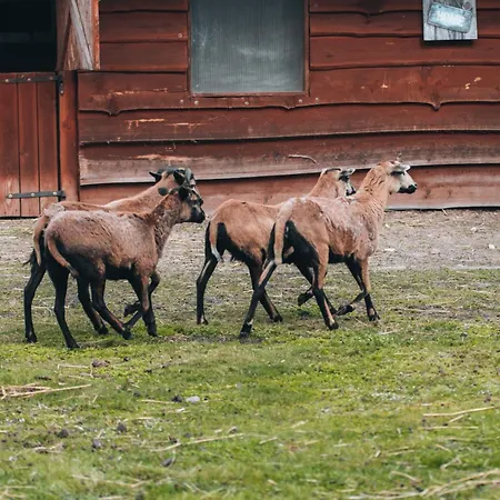 Aldeamento Turístico Ranczo Targówka - Relaks W Naturze, Glamping I