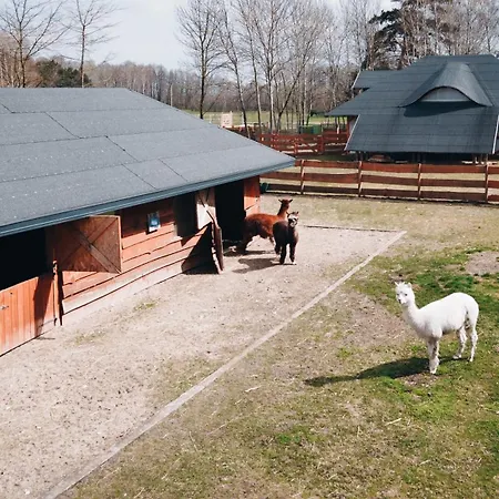 Aldeamento Turístico Ranczo Targówka - Relaks W Naturze, Glamping I Targowka