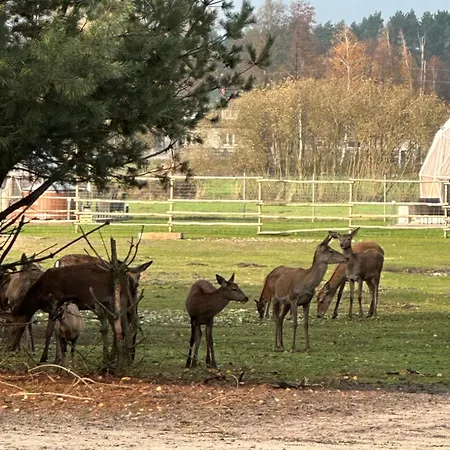 Ranczo Targówka - Relaks W Naturze, Glamping I Targowka