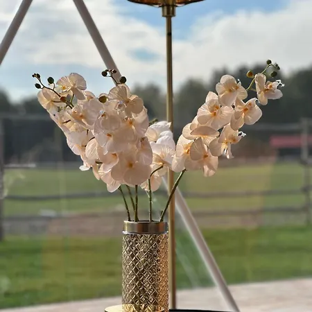 Aldeamento Turístico Ranczo Targówka - Relaks W Naturze, Glamping I *