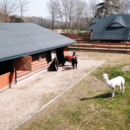 Ranczo Targówka - Relaks W Naturze, Glamping I Aldeamento Turístico *